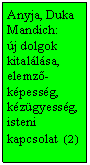 Szövegdoboz: Anyja, Duka Mandich:
új dolgok kitalálása, elemző-képesség, kézügyesség, isteni kapcsolat (2 )
