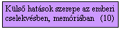 Szvegdoboz: Kls hatsok szerepe az emberi cselekvsben, memriban   (10)